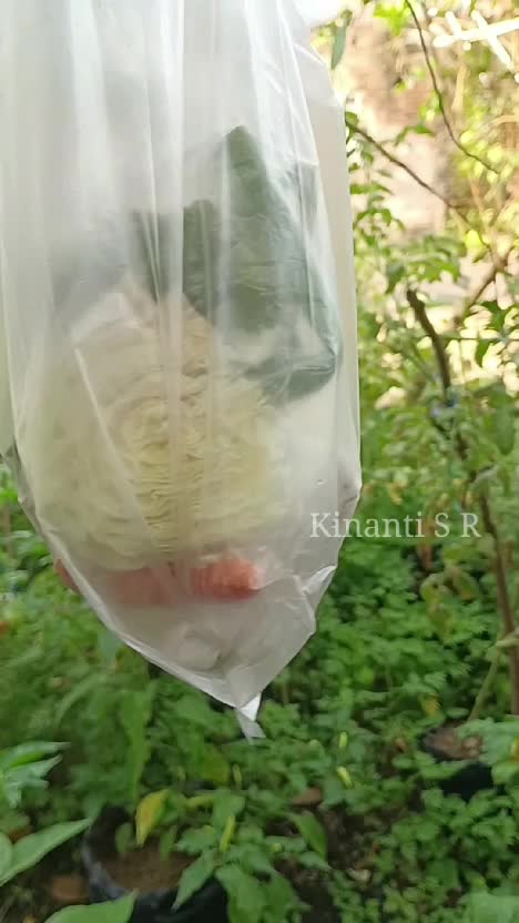 Habis dr tukang sayur, lanjut ke kebun petik sayur 🤗
#berkebun #berkebundirumahaja #panensayuran #panensayur #hasilkebun #suasanapedesaan #s