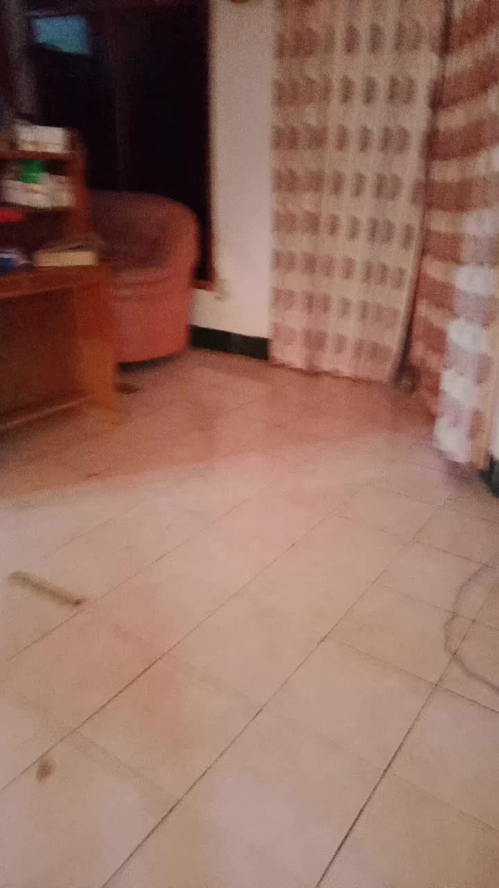 2360° Dari di dunia ini 